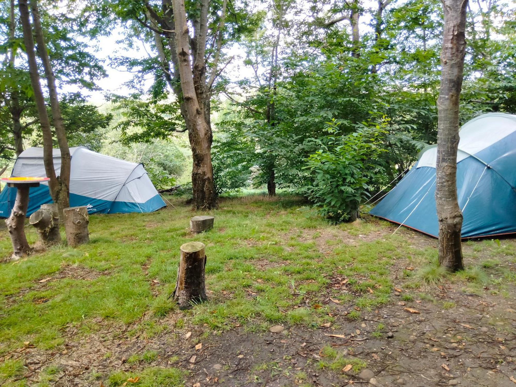 La Finca - Campamento En La Naturaleza Caranceja Номер фото