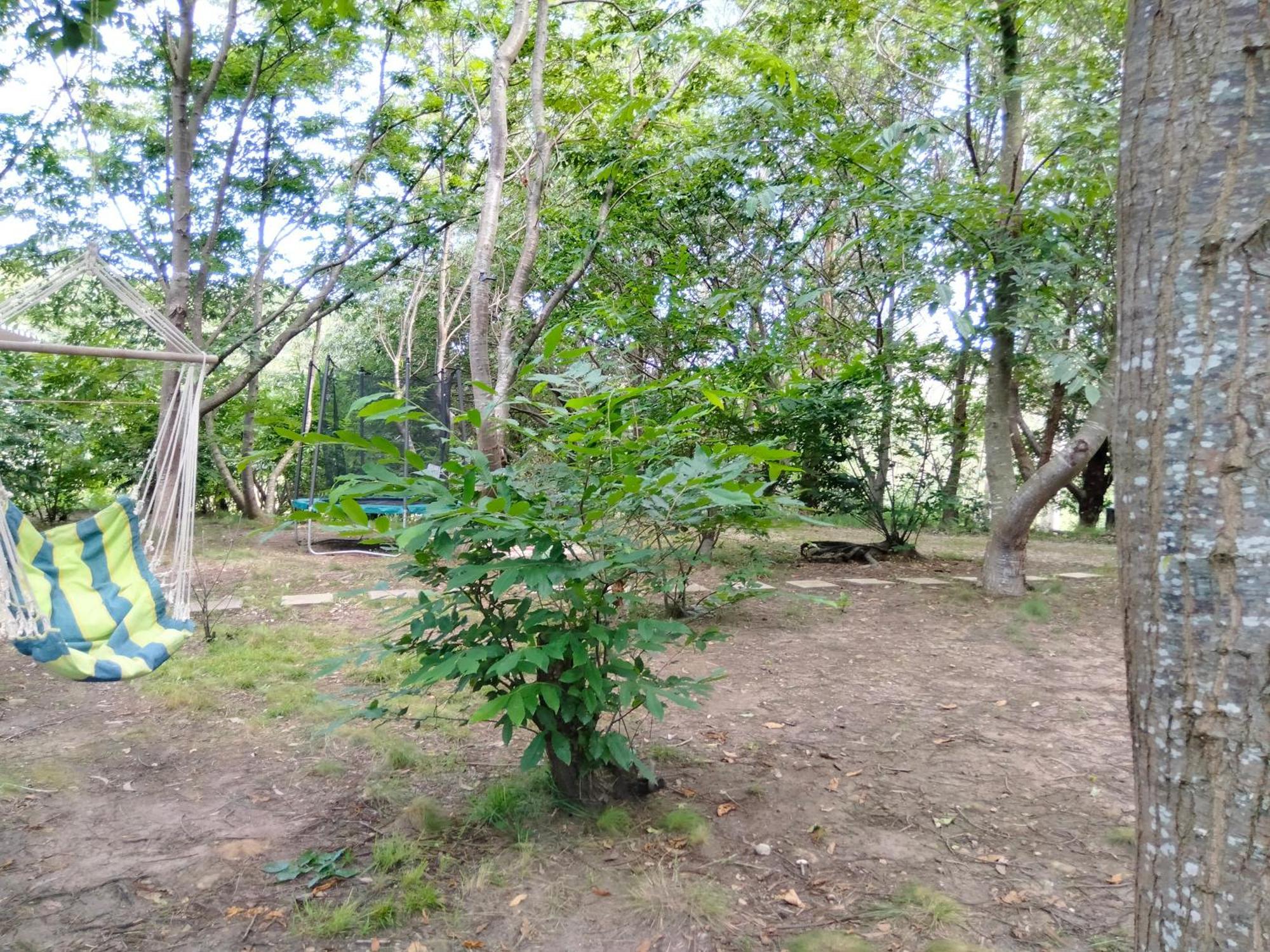 La Finca - Campamento En La Naturaleza Caranceja Номер фото